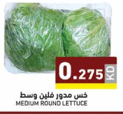 Lettuce available at Ramez in Kuwait - Kuwait City
