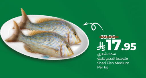 available at LULU Hypermarket in KSA, Saudi Arabia, Saudi - Al Khobar