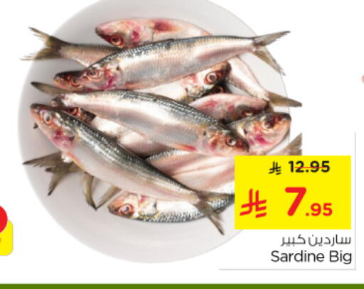 available at Nesto in KSA, Saudi Arabia, Saudi - Al Majmaah