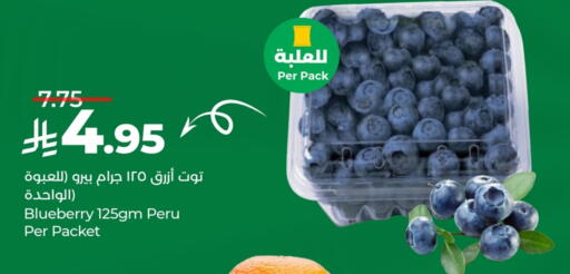 Blueberry BlueBerry available at لولو هايبرماركت in مملكة العربية السعودية, السعودية, سعودية - الخبر‎