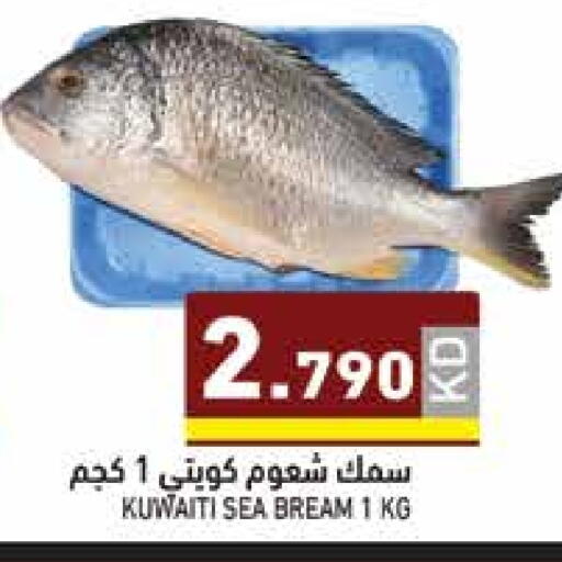 available at  رامز in الكويت - محافظة الأحمدي