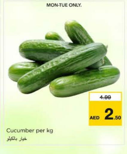 Cucumber available at نستو هايبرماركت in الإمارات العربية المتحدة , الامارات - الشارقة / عجمان