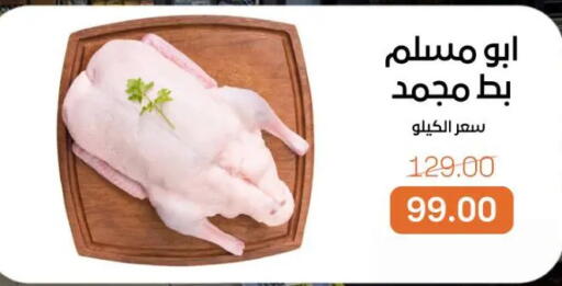 available at بيت الجملة in Egypt - القاهرة