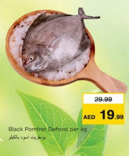 available at نستو هايبرماركت in الإمارات العربية المتحدة , الامارات - رَأْس ٱلْخَيْمَة