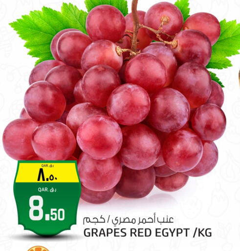 Grapes from Egypt available at السعودية in قطر - الشحانية
