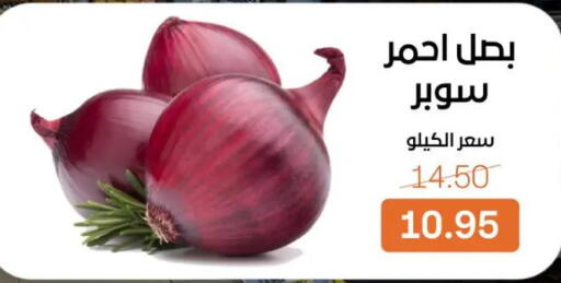 available at Beit El Gomla in Egypt - Cairo