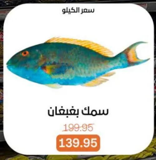 available at Beit El Gomla in Egypt - Cairo