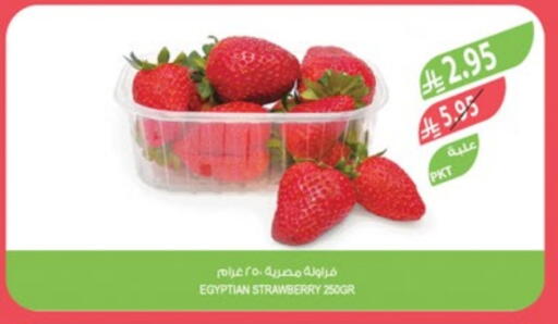 Strawberry from Egypt available at المزرعة in مملكة العربية السعودية, السعودية, سعودية - الجبيل‎