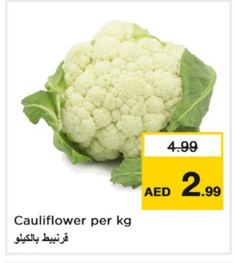Cauliflower available at لاست تشانس in الإمارات العربية المتحدة , الامارات - ٱلْفُجَيْرَة‎