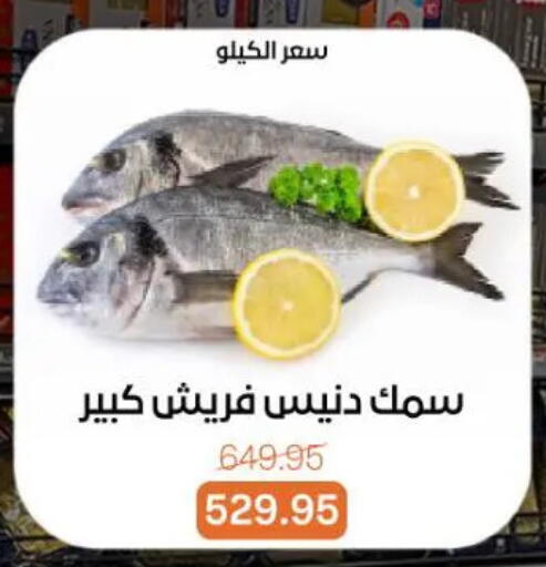 available at بيت الجملة in Egypt - القاهرة