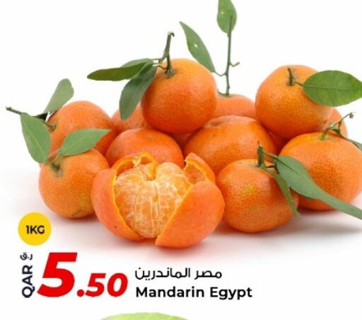 Mandarin from Egypt available at Rawabi Hypermarket in Qatar - Al Shamal