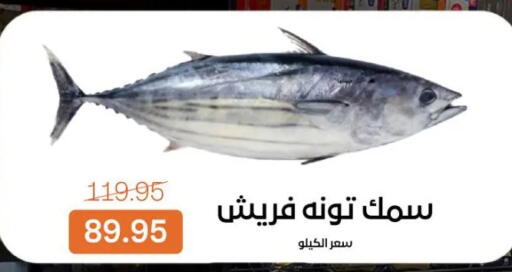 available at Beit El Gomla in Egypt - Cairo