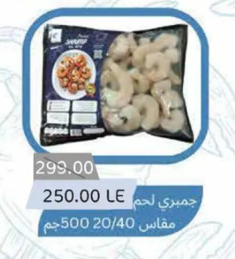 available at Beit El Gomla in Egypt - Cairo