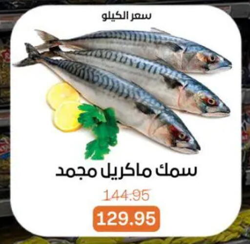 available at Beit El Gomla in Egypt - Cairo