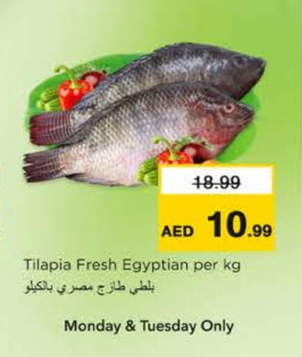 available at نستو هايبرماركت in الإمارات العربية المتحدة , الامارات - رَأْس ٱلْخَيْمَة