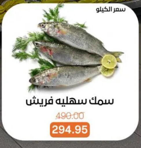 available at Beit El Gomla in Egypt - Cairo