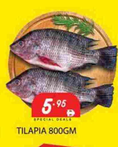 available at زين مارت سوبرماركت in الإمارات العربية المتحدة , الامارات - رَأْس ٱلْخَيْمَة