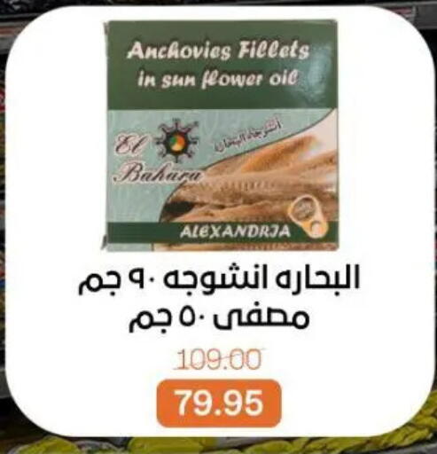 available at Beit El Gomla in Egypt - Cairo