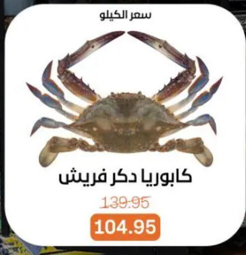 available at Beit El Gomla in Egypt - Cairo