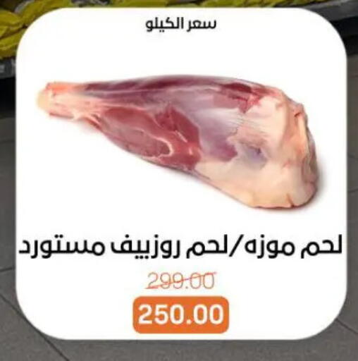 available at بيت الجملة in Egypt - القاهرة