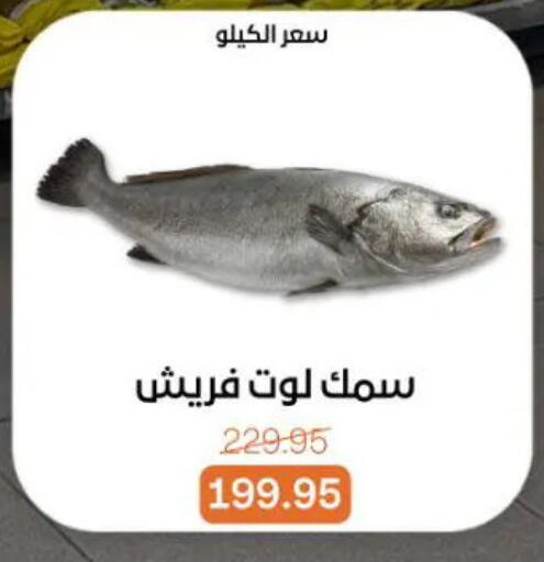 available at Beit El Gomla in Egypt - Cairo