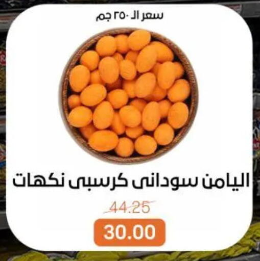 available at Beit El Gomla in Egypt - Cairo