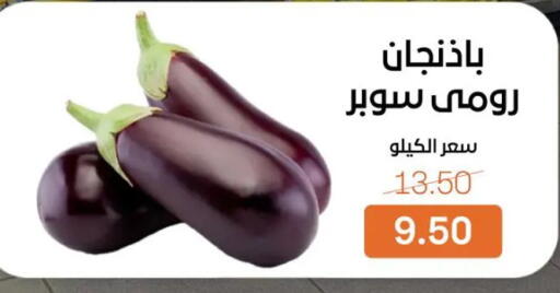 available at Beit El Gomla in Egypt - Cairo