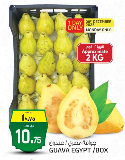 Guava from Egypt available at السعودية in قطر - الشحانية