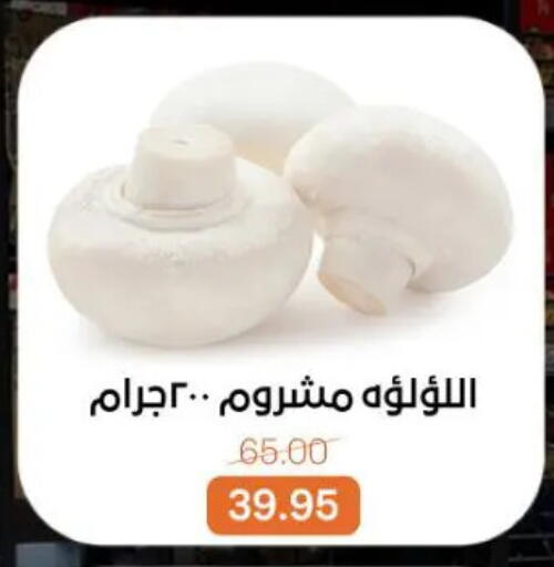 available at Beit El Gomla in Egypt - Cairo