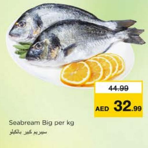 available at نستو هايبرماركت in الإمارات العربية المتحدة , الامارات - رَأْس ٱلْخَيْمَة