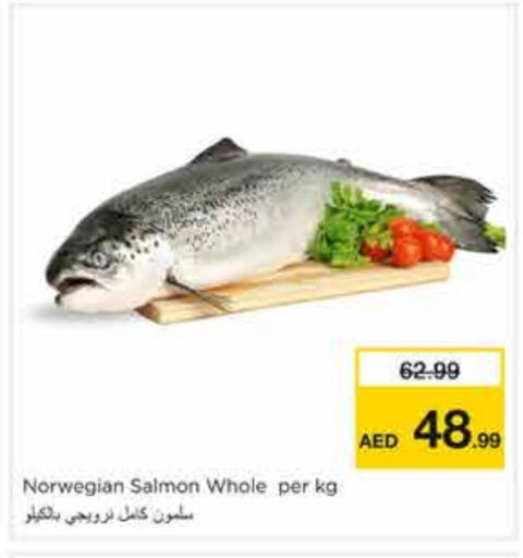 available at نستو هايبرماركت in الإمارات العربية المتحدة , الامارات - الشارقة / عجمان