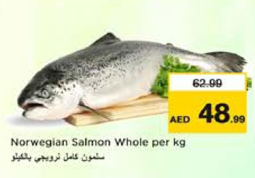 available at نستو هايبرماركت in الإمارات العربية المتحدة , الامارات - الشارقة / عجمان