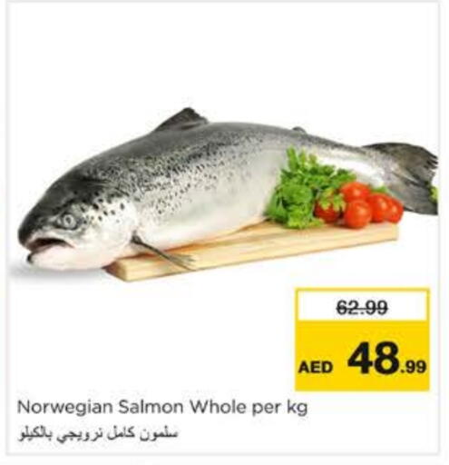 available at نستو هايبرماركت in الإمارات العربية المتحدة , الامارات - الشارقة / عجمان