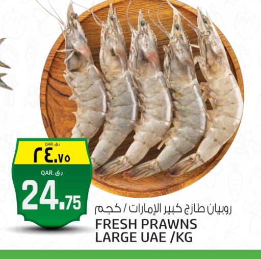 available at كنز ميني مارت in قطر - الشمال