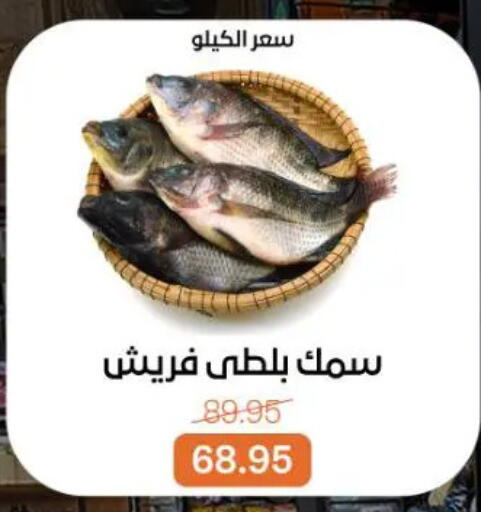 available at Beit El Gomla in Egypt - Cairo