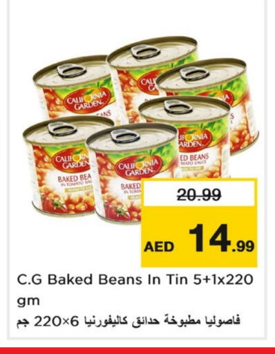 Tomato available at Last Chance  in UAE - Fujairah
