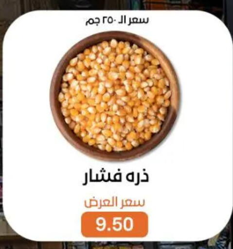available at بيت الجملة in Egypt - القاهرة