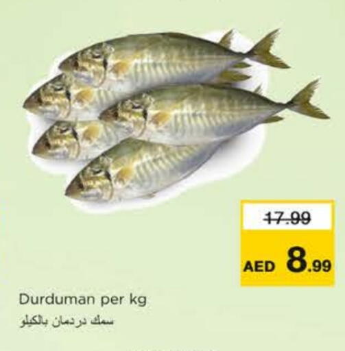 available at نستو هايبرماركت in الإمارات العربية المتحدة , الامارات - رَأْس ٱلْخَيْمَة