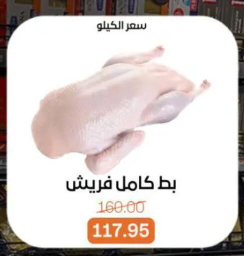 available at بيت الجملة in Egypt - القاهرة