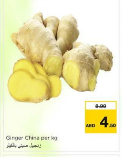 Ginger from China available at نستو هايبرماركت in الإمارات العربية المتحدة , الامارات - الشارقة / عجمان