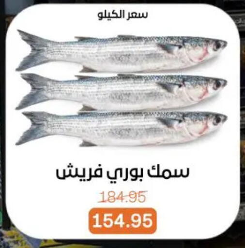 available at Beit El Gomla in Egypt - Cairo