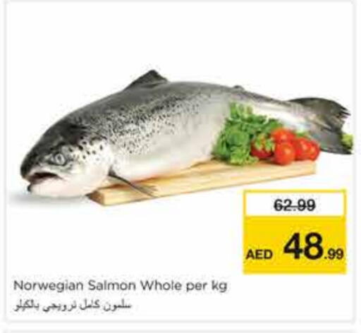 available at نستو هايبرماركت in الإمارات العربية المتحدة , الامارات - الشارقة / عجمان