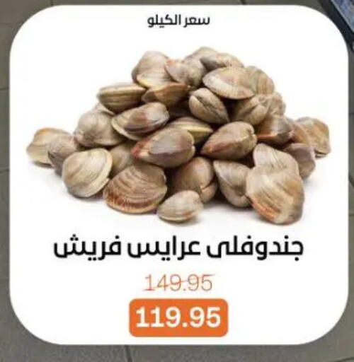 available at Beit El Gomla in Egypt - Cairo