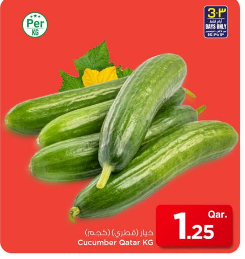 Cucumber from Qatar available at Mark & Save  in Qatar - Al Shamal