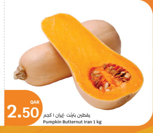 Pumpkin from Iran available at سيتي هايبرماركت in قطر - أم صلال