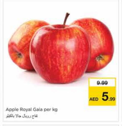 Apple available at نستو هايبرماركت in الإمارات العربية المتحدة , الامارات - الشارقة / عجمان