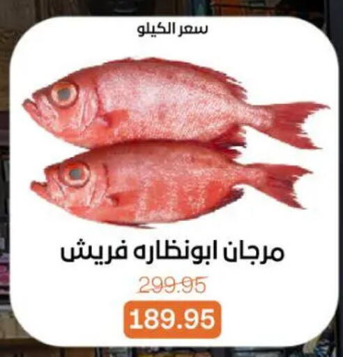 available at Beit El Gomla in Egypt - Cairo