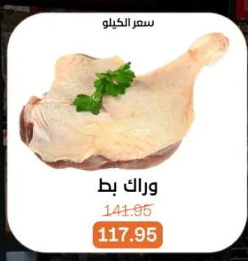 available at Beit El Gomla in Egypt - Cairo