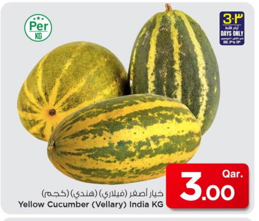 Cucumber from India available at Mark & Save  in Qatar - Al Shamal