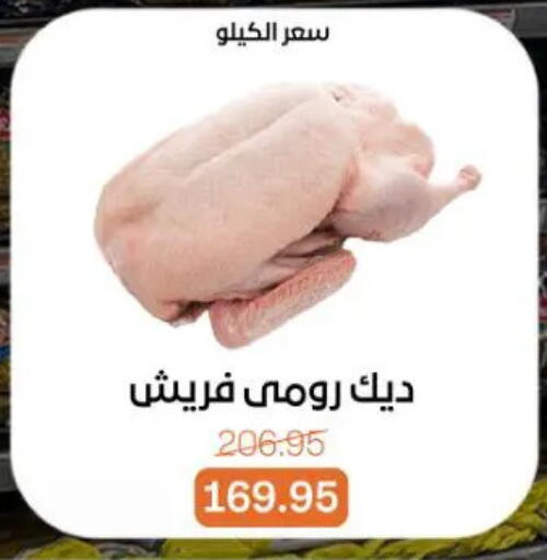 available at بيت الجملة in Egypt - القاهرة